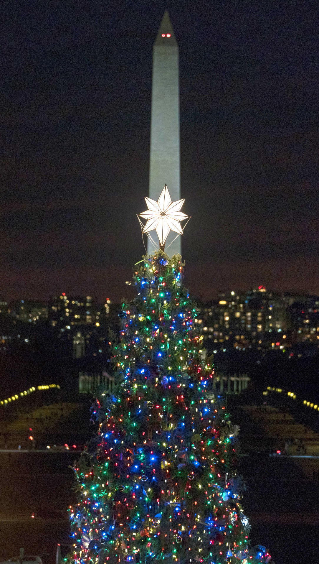 Capitol Christmas Tree Lighting